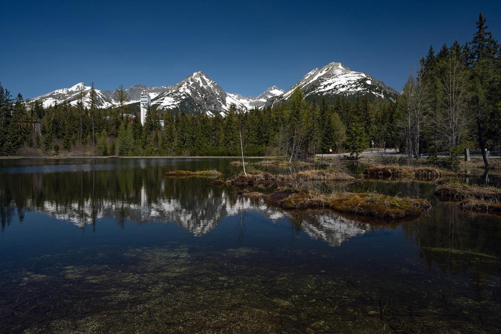 Studia Sprava Tanapu Lägenhet Štrbské Pleso Exteriör bild